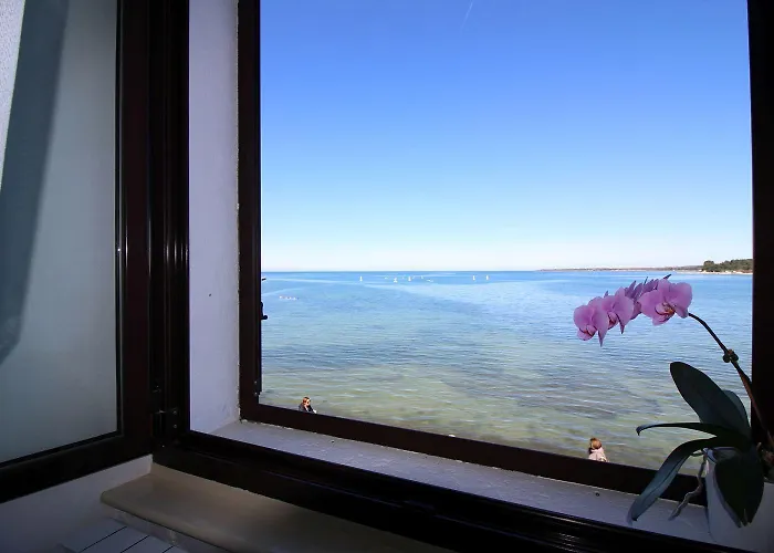 Traumhafte Lage Im Zentrum Von Nur 200 Meter Zum Mit Meerblick Poreč